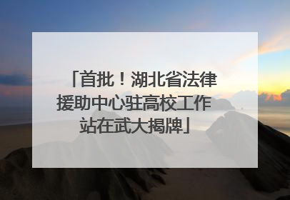 首批！湖北省法律援助中心驻高校工作站在武大揭牌