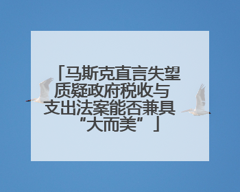 马斯克直言失望 质疑政府税收与支出法案能否兼具“大而美”