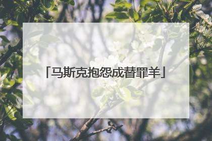 马斯克抱怨成替罪羊