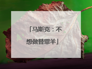 马斯克：不想做替罪羊