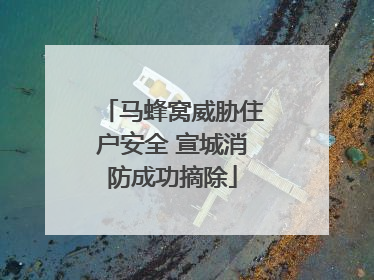 马蜂窝威胁住户安全 宣城消防成功摘除