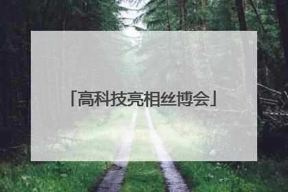 高科技亮相丝博会