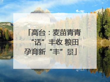 高台：麦苗青青“话”丰收 粮田孕育新“丰”景