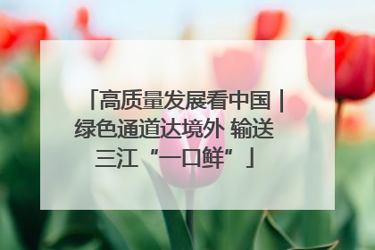 高质量发展看中国｜绿色通道达境外 输送三江“一口鲜”