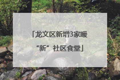 龙文区新增3家暖“新”社区食堂