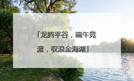 龙腾平谷,端午竞渡,驭浪金海湖