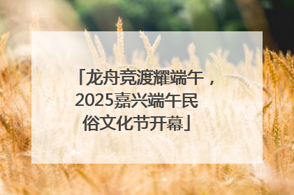 龙舟竞渡耀端午，2025嘉兴端午民俗文化节开幕
