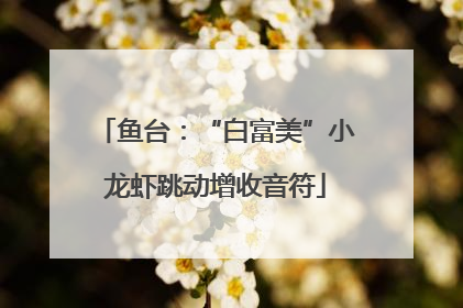 鱼台：“白富美”小龙虾跳动增收音符