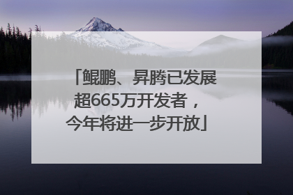 鲲鹏、昇腾已发展超665万开发者，今年将进一步开放