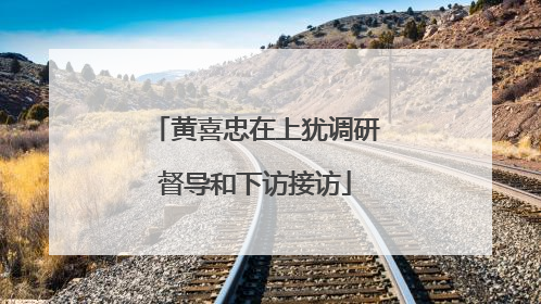 黄喜忠在上犹调研督导和下访接访