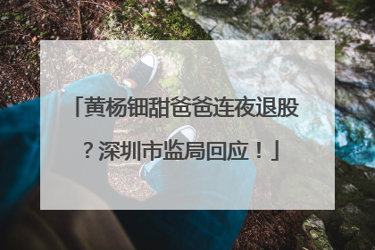 黄杨钿甜爸爸连夜退股？深圳市监局回应！