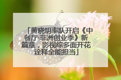 黄晓明率队开启《中餐厅·非洲创业季》新篇章，影视综多面开花诠释全能担当