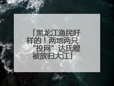 黑龙江渔民好样的！两地两只“投网”达氏鳇被放归大江