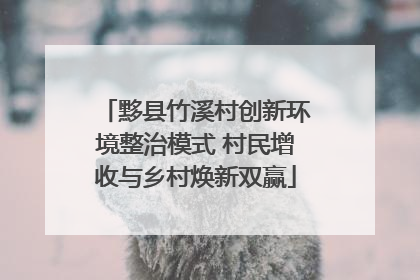 黟县竹溪村创新环境整治模式 村民增收与乡村焕新双赢