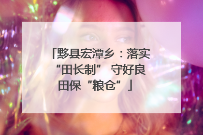 黟县宏潭乡：落实“田长制” 守好良田保“粮仓”