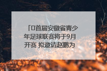 ﻿首届安徽省青少年足球联赛将于9月开赛 拟邀请赵鹏为先导赛开球