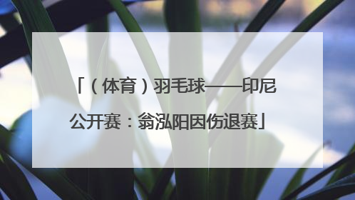 （体育）羽毛球——印尼公开赛：翁泓阳因伤退赛