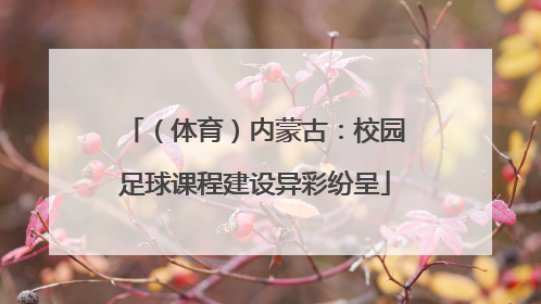 （体育）内蒙古：校园足球课程建设异彩纷呈