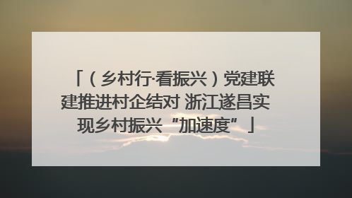 （乡村行·看振兴）党建联建推进村企结对 浙江遂昌实现乡村振兴“加速度”