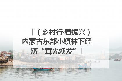 （乡村行·看振兴）内蒙古东部小镇林下经济“茸光焕发”