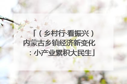 （乡村行·看振兴）内蒙古乡镇经济新变化：小产业累积大民生