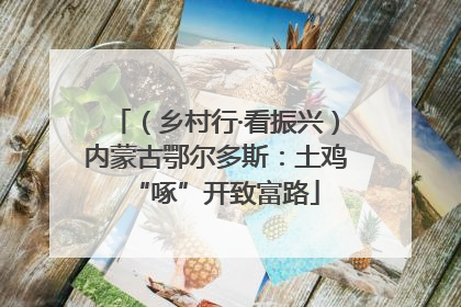 （乡村行·看振兴）内蒙古鄂尔多斯：土鸡“啄”开致富路