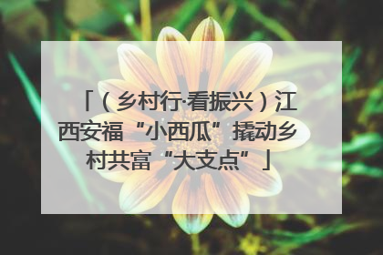 （乡村行·看振兴）江西安福“小西瓜”撬动乡村共富“大支点”