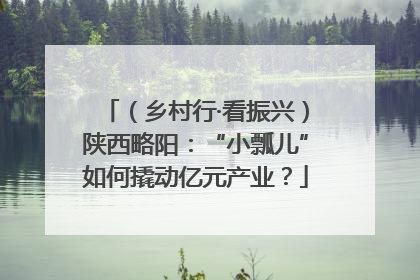 （乡村行·看振兴）陕西略阳：“小瓢儿”如何撬动亿元产业？