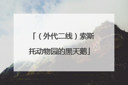 （外代二线）索斯托动物园的黑天鹅