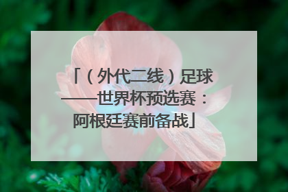 （外代二线）足球——世界杯预选赛：阿根廷赛前备战