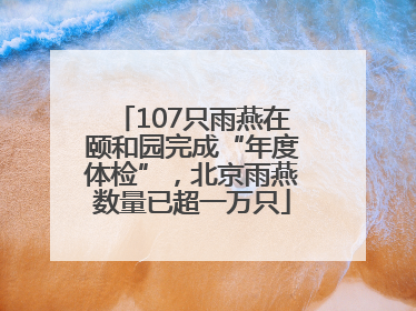 107只雨燕在颐和园完成“年度体检”，北京雨燕数量已超一万只