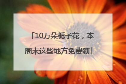 10万朵栀子花，本周末这些地方免费领