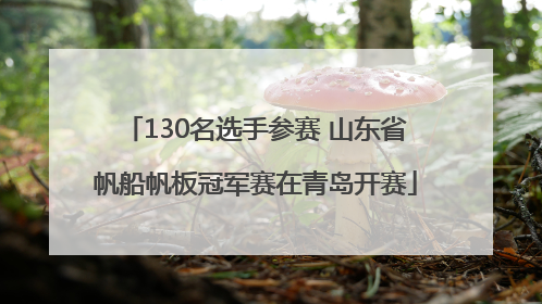 130名选手参赛 山东省帆船帆板冠军赛在青岛开赛