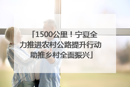 1500公里！宁夏全力推进农村公路提升行动 助推乡村全面振兴