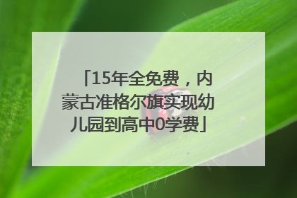 15年全免费，内蒙古准格尔旗实现幼儿园到高中0学费