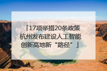 17项举措20条政策 杭州发布建设人工智能创新高地新“路径”