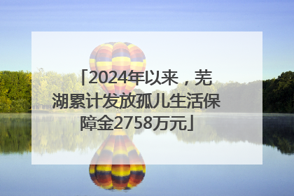 2024年以来，芜湖累计发放孤儿生活保障金2758万元
