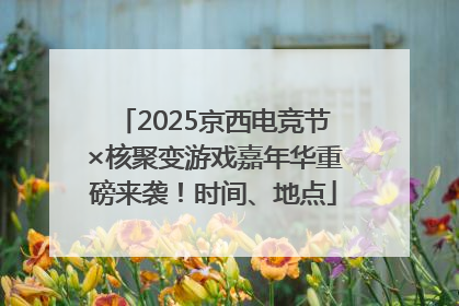 2025京西电竞节×核聚变游戏嘉年华重磅来袭！时间、地点