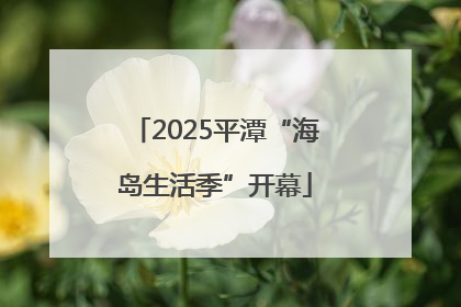 2025平潭“海岛生活季”开幕