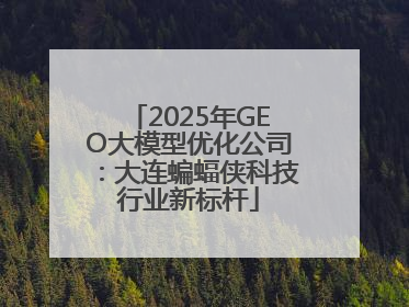 2025年GEO大模型优化公司：大连蝙蝠侠科技行业新标杆