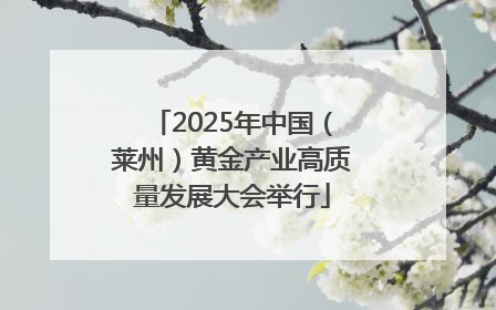 2025年中国（莱州）黄金产业高质量发展大会举行