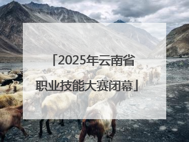 2025年云南省职业技能大赛闭幕