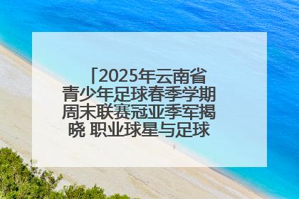2025年云南省青少年足球春季学期周末联赛冠亚季军揭晓 职业球星与足球小将共享荣耀时刻