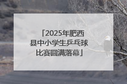 2025年肥西县中小学生乒乓球比赛圆满落幕