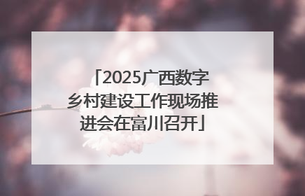 2025广西数字乡村建设工作现场推进会在富川召开