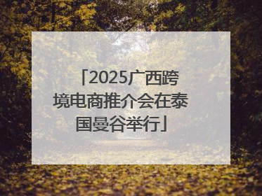 2025广西跨境电商推介会在泰国曼谷举行