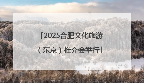2025合肥文化旅游（东京）推介会举行