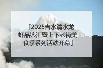2025吉水清水龙虾品鉴汇暨上下老街美食季系列活动开幕