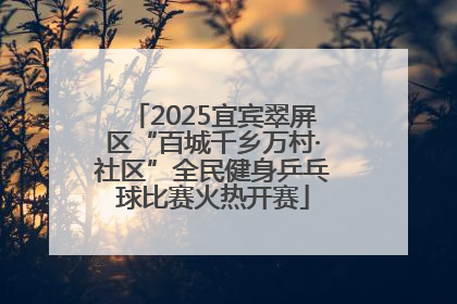 2025宜宾翠屏区“百城千乡万村·社区”全民健身乒乓球比赛火热开赛