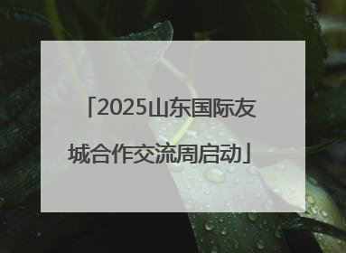 2025山东国际友城合作交流周启动